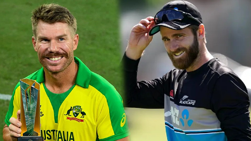 David-Warner-Kane-Williamson