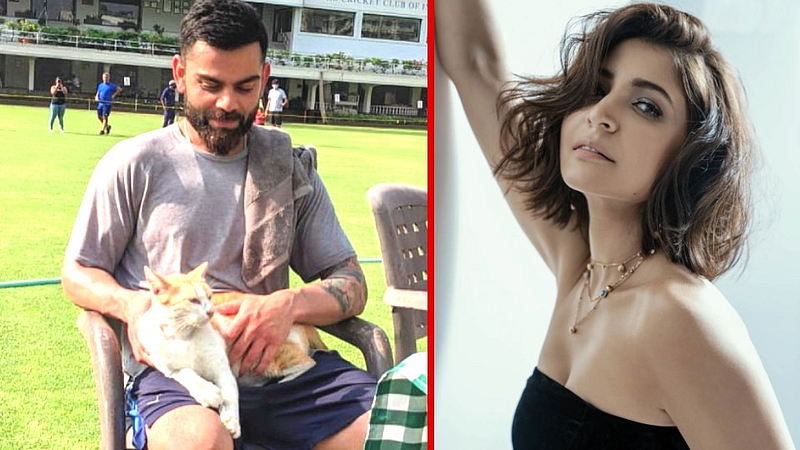 Virat-Anushka-Cat-Instagram-Post