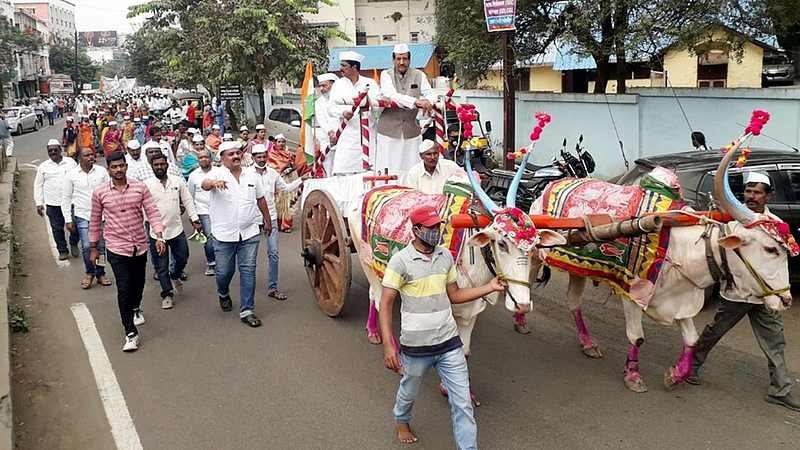 कॉंग्रेसची महागाई विरोधात रॅली; पृथ्वीराज चव्हाण यांनी केलं बैलगाडीचं सारथ्य