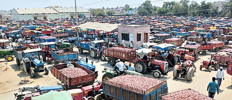 Nampur Market Committee had a turnover of 225 crore in the onion market