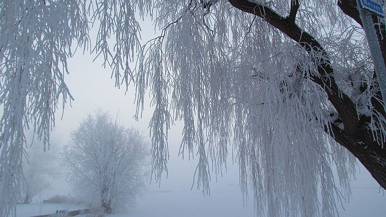 रशियाचे नॉरिलस्क (Norilsk, Russia) शहर हे जगाच्या उत्तरेकडील टोकाला असलेले शहर आहे. येथील लोकसंख्या सुमारे एक लाख आहे. शहरात एकापेक्षा जास्त उत्तम संग्रहालये आणि भेट देण्याची ठिकाणे आहेत. मात्र त्यानंतरही येथे पर्यटनाला चालना मिळू शकली नाही, याचे कारण म्हणजे येथील थंडी. नोरिल्स्कमध्ये सरासरी तापमान -30 अंश राहते, तसेच हिवाळ्यात ते -63 अंशांपर्यंत खाली येते. येथे एक खाण उद्योग देखील आहे, ज्यामुळे शहर हिवाळ्यात खोल काळ्या-लाल धुराने झाकलेले असते. अशा परिस्थितीत, कोणताही मोठा धोका लक्षात घेता, रशियन सरकारने 2001 मध्येच हे शहर बाहेरील पर्यटकांसाठी बंद केले. फोटो प्रतिकात्मक
