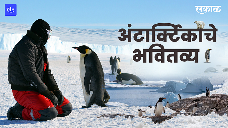 अंटार्क्टिकाचे भवितव्य}
