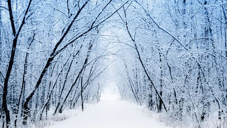 कॅनेडियन शहर यलोनाइफ (Canadian city Yellowknife) हे बर्फाच्या वादळांसाठीही ओळखले जाते. सर्वात थंड देशांपैकी एक, कॅनडाचा हा भाग अत्यंत थंड आहे, जेथे सरासरी जानेवारी तापमान -27 अंश आहे. कमी होत असताना, ते -60 अंशांपर्यंत देखील जाते. तथापि, हे मनोरंजक आहे की हे शहर उन्हाळ्यात कॅनडातील सर्वात प्रकाशित शहरांपैकी एक आहे. कडक बर्फामुळे यलोनाइफला साहसप्रेमींचा मक्का मानला जातो. फोटो प्रतिकात्मक