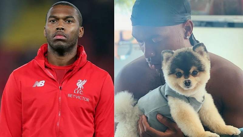 Daniel Sturridge Premier League