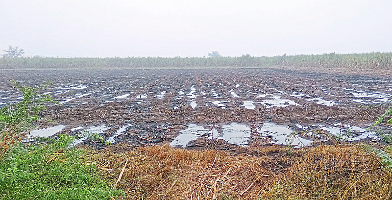 अतिवृष्टीची शेतकऱ्यांना दोन टप्प्यात भरपाई! पहिल्या टप्प्यात ‘या’ २६ जिल्ह्यांचा समावेश
