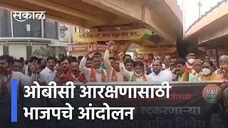 ओबीसी आरक्षणासाठी भाजपचे आंदोलन; पाहा व्हिडिओ}