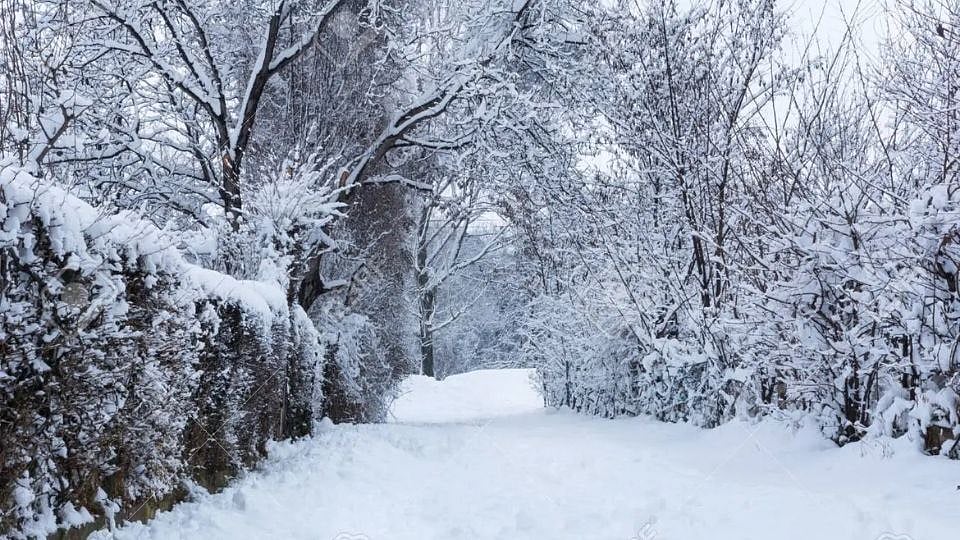 याकुत्स्क  (Yakutsk, Russia) नावाचे रशियन शहर  या यादीत अग्रस्थानी आहे. हे जगातील सर्वात थंड शहर मानले जाते, जिथे मानवी लोकसंख्या राहते. येथील सर्वात थंड तापमान -83 अंश सेल्सिअस नोंदवले गेले आहे. इथली प्रत्येक गोष्ट बर्फ आणि धुराने झाकलेली आहे. रशियाच्या लेना नदीच्या काठावर असलेल्या या गावात मासे दुकानांच्या बाहेर सजवले जातात आणि सततच्या बर्फामुळे ते महिनोमहिने ताजे राहतात. एवढ्या थंडीत इथल्या लोकांच्या भावनिक वर्तनात काही बदल झाला आहे का किंवा ते अशा थंडीत राहिल्यामुळे ते वेगळे वागतात का, हे जाणून घेण्यासाठी जिनिव्हा येथील स्टीव्ह आयनकर हा फोटोग्राफर इथे पोहोचला. मात्र, बराच वेळ छायाचित्रकार बाहेर जाण्याचे धाडस करू शकले नाहीत. नंतर त्याला कळले की बर्फाचा मानवी भावनांशी काहीही संबंध नाही. फोटो प्रतिकात्मक 
