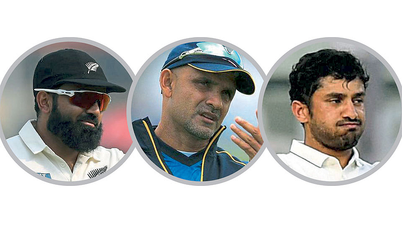 Cricket