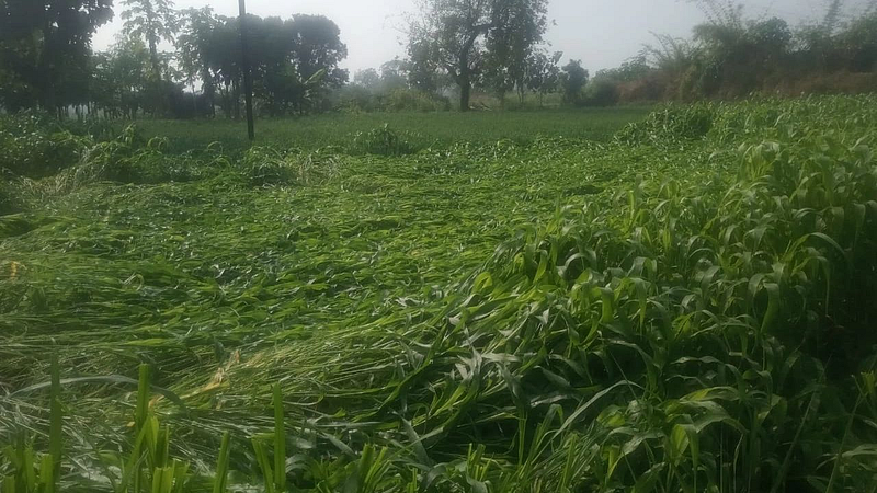 hingoli