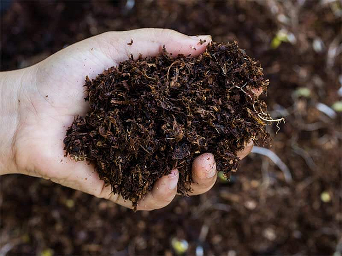 fertilizer