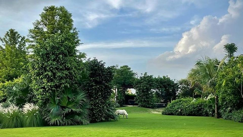 धोनीचे रांची येथे असलेले 'कैलाशपती' हे फार्महाऊस देखील धोनीच्या मोठ्या गुंतवणुकीपैकी एक आहे. हे फार्महाऊस बनवण्यासाठी धोनीने खूप पैसा खर्च केला आहे.
