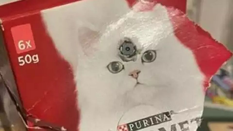 Girlfriend got hidden Camera in Food packet