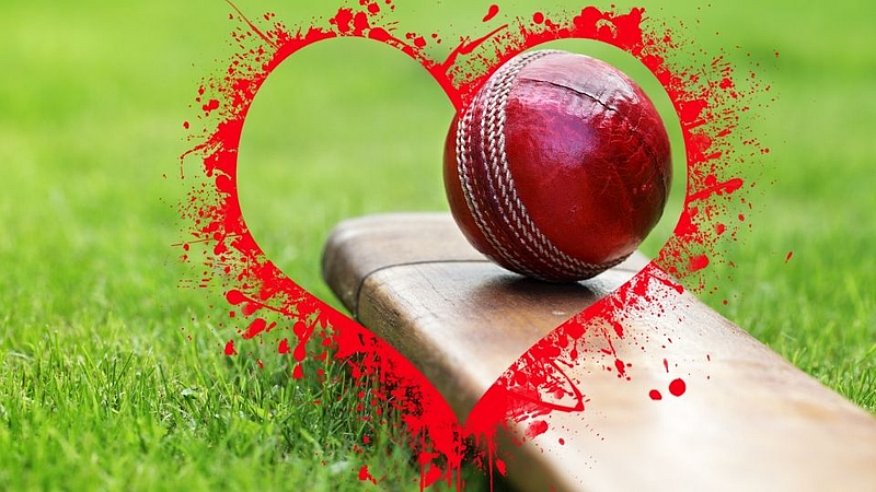 Cricket Pitch