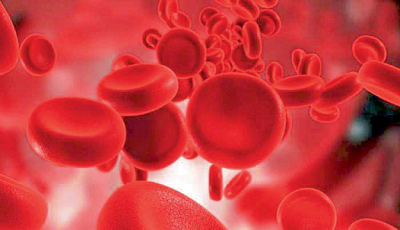 health news Demand for platelets increased in Pune