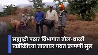 Grass harvesting in Sahyadri }