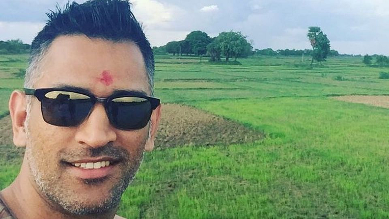धोनीच्या या फार्म हाऊसमध्ये नेहमी हिरवाई राहावी यासाठी लोकांना कामावर ठेवण्यात आले आहे.