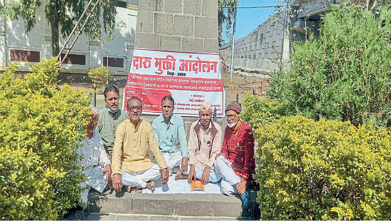 Akola Wine sales