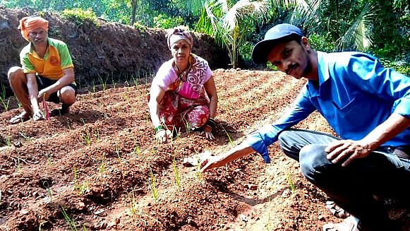 कोकणच्या तांबड्या मातीत लसणाचा ठसका; कोतापुरातील तरुणाचा यशस्वी प्रयोग