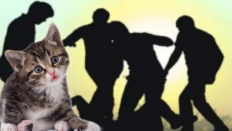 People Fight Because of Cat in Meerut
