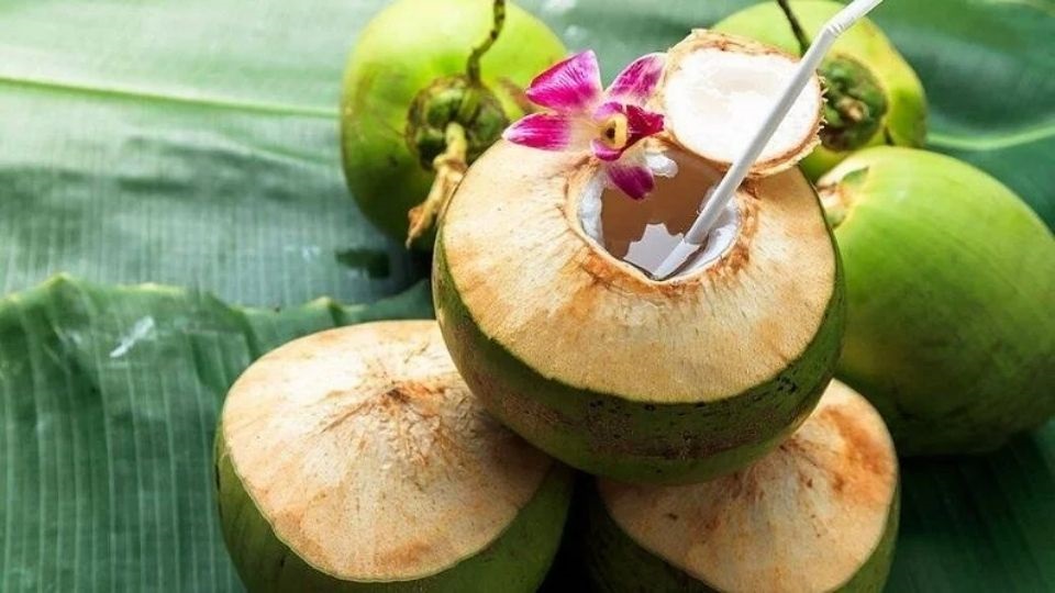 नारळाचे पाणी (Coconut Water)