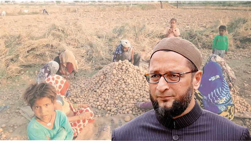 Telangan Ban Potato From Agra