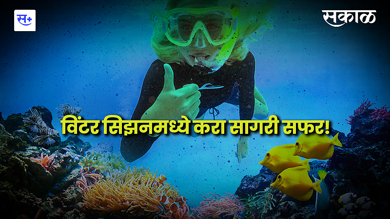 विंटर सिझनमध्ये करा सागरी सफर!}