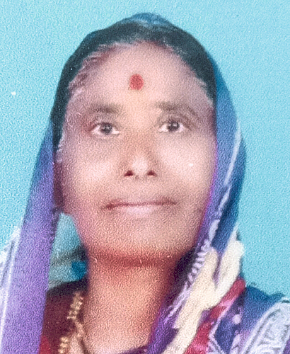 छत्रपती शिवाजी महाराज संस्थेच्या अध्यक्षपदी हिरवे