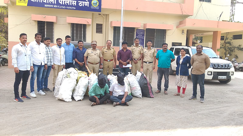 Sandalwood smugglers