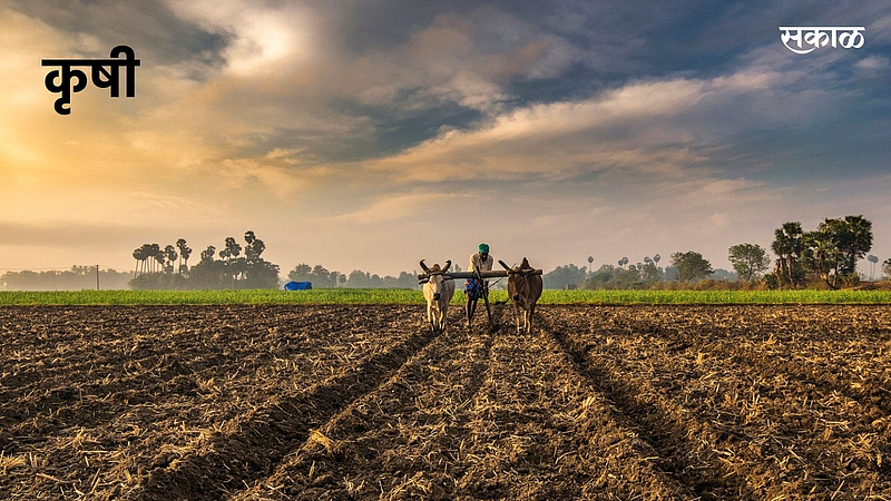 Agriculture