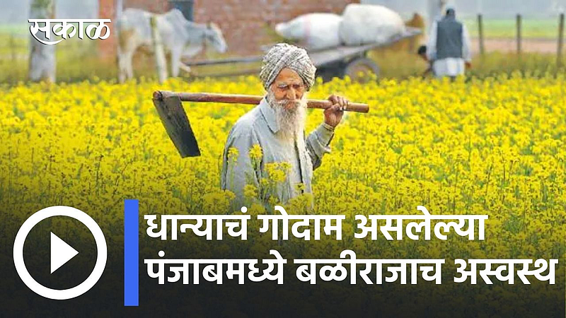 Farmers on Punjab Elections