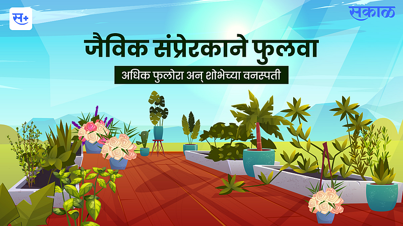 More flowering and ornamental plants through biological hormones}