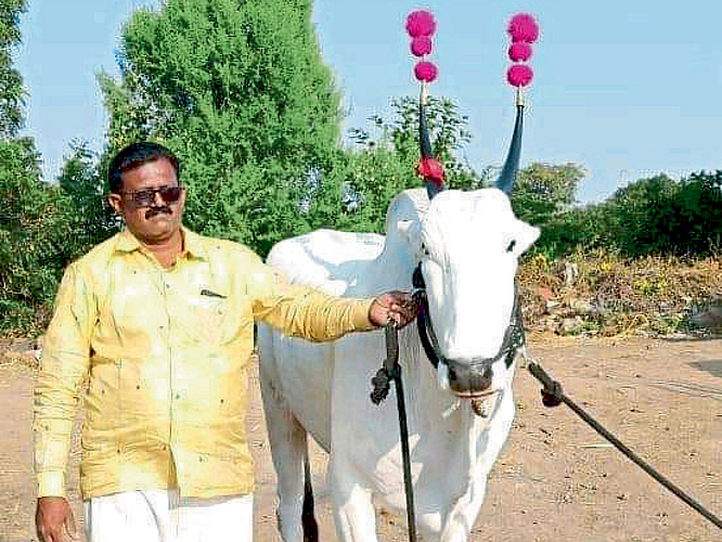 Transformation into agriculture from Gopalan organic fertilizer solapur