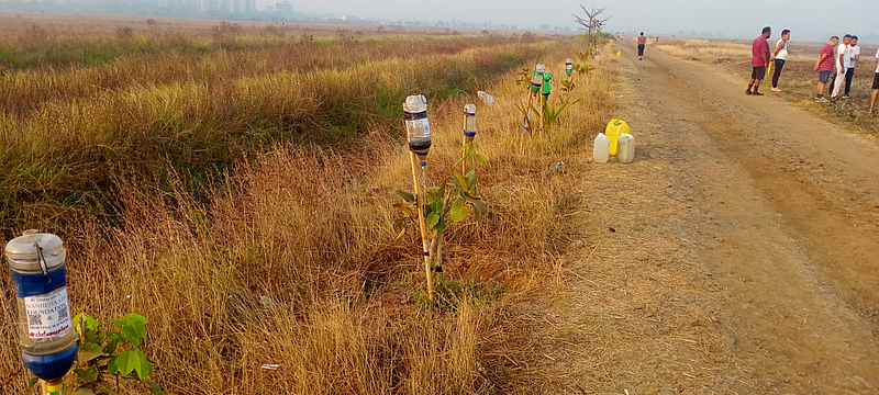 Tree conservation