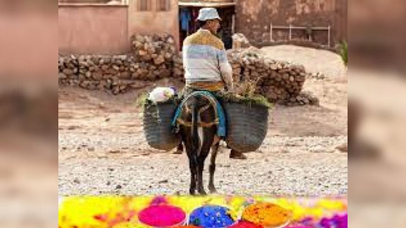 Holi Weird Tradition