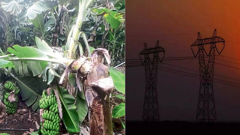 electricity bill recovery farmer angry MSEDCL