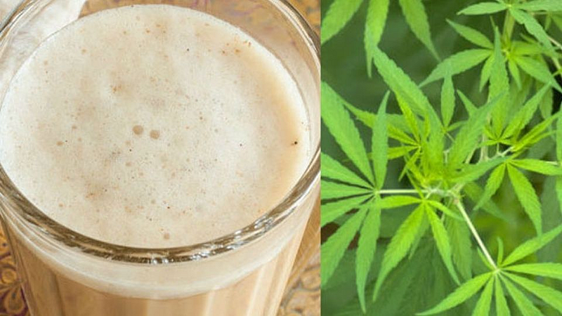 bhang in holi