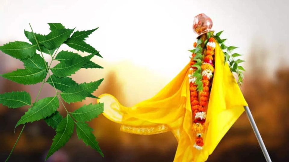 Gudi Padwa कडुलिंब