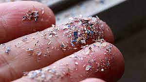 Microplastic Inside Human Lungs