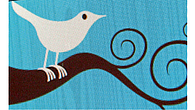 Twitter Twitter