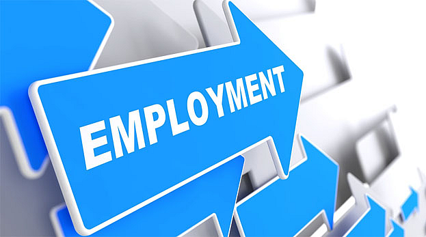 employment After covid india