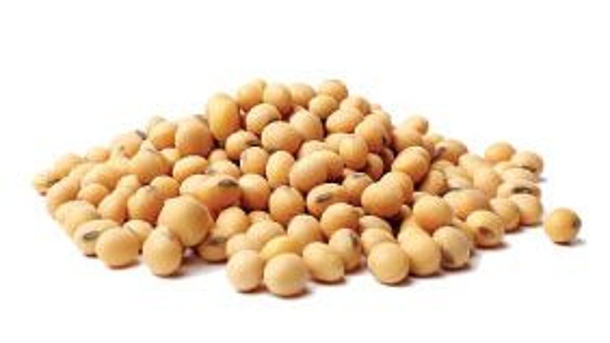 farmer agricultural news summer crops sowing status in nanded