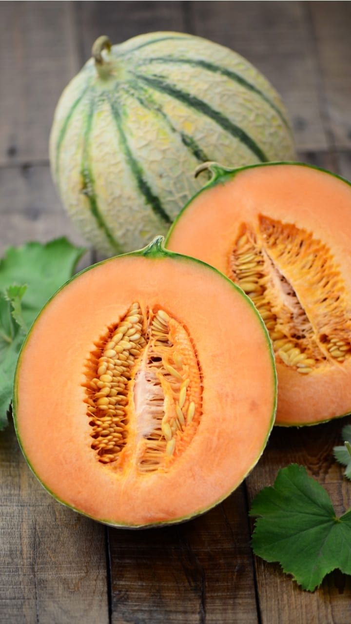 Muskmelon