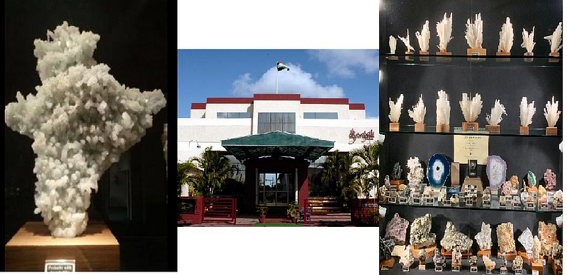 Gargoti museum nashik
