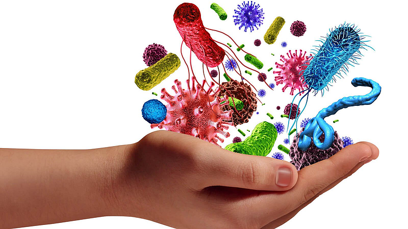 Immune System