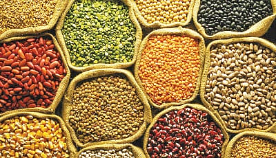 food Grain production