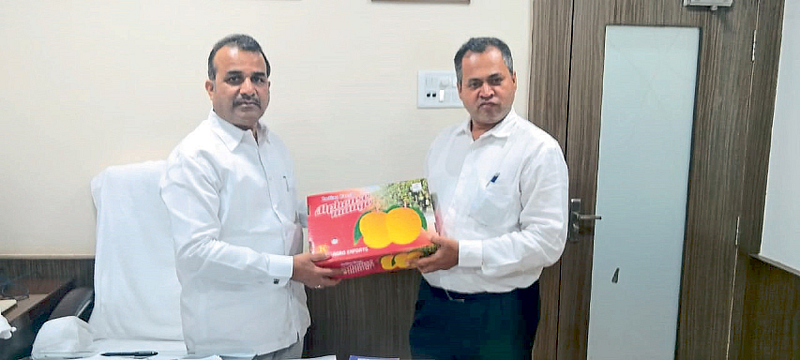 कृषी पणन मंत्री बाळासाहेब पाटील यांच्या हस्ते मुंबईत एक्सपोर्ट हापूस आंब्याच्या पेटीचे अनावरण करण्यात आले.