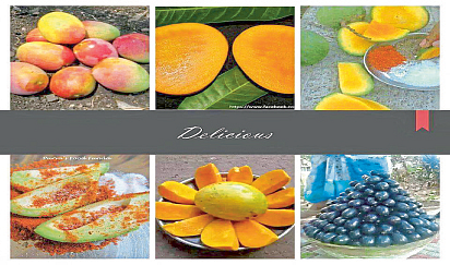 fruit