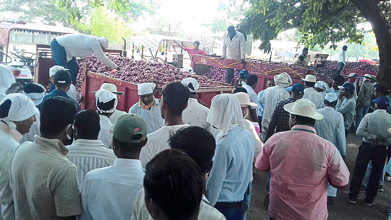 Farmers in trouble due to falling price of onion
