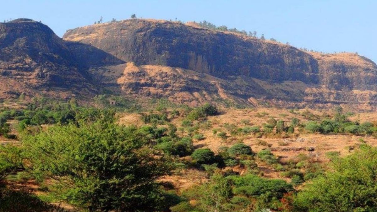 हडसर हा भारताच्या महाराष्ट्र राज्यातील एक किल्ला आहे. पुणे जिल्ह्यातील जुन्नर तालुक्यातील हा किल्ला असून पर्वतगड म्हणूनही याला ओळखलं जातं.