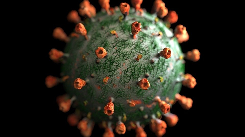 xe variant of coronavirus